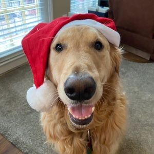 Meet your Posher, Mattie